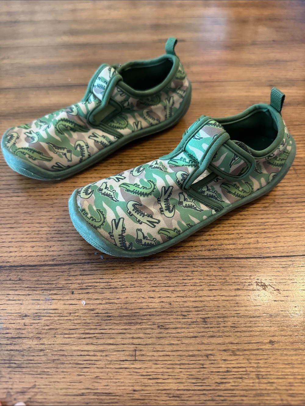 ☀️3 for $10☀️ Dinosaur Water Shoes